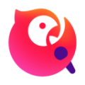 sgreen怎么付费