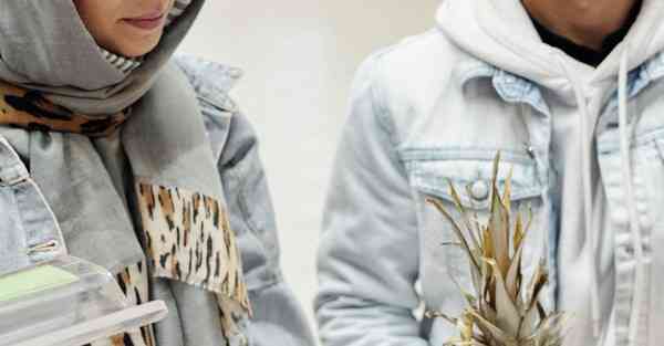 green直播下载