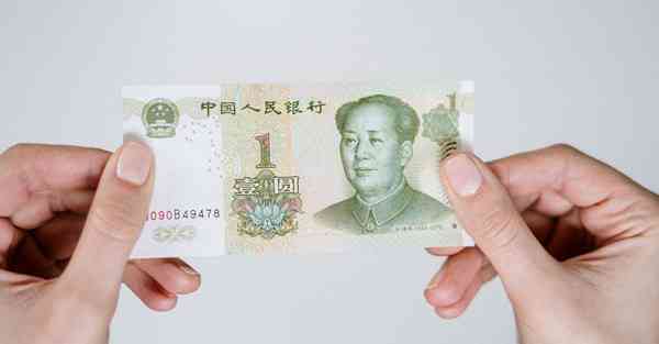 vp n破解版下载