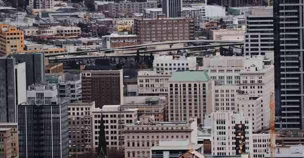 网络加速器蚂蚁